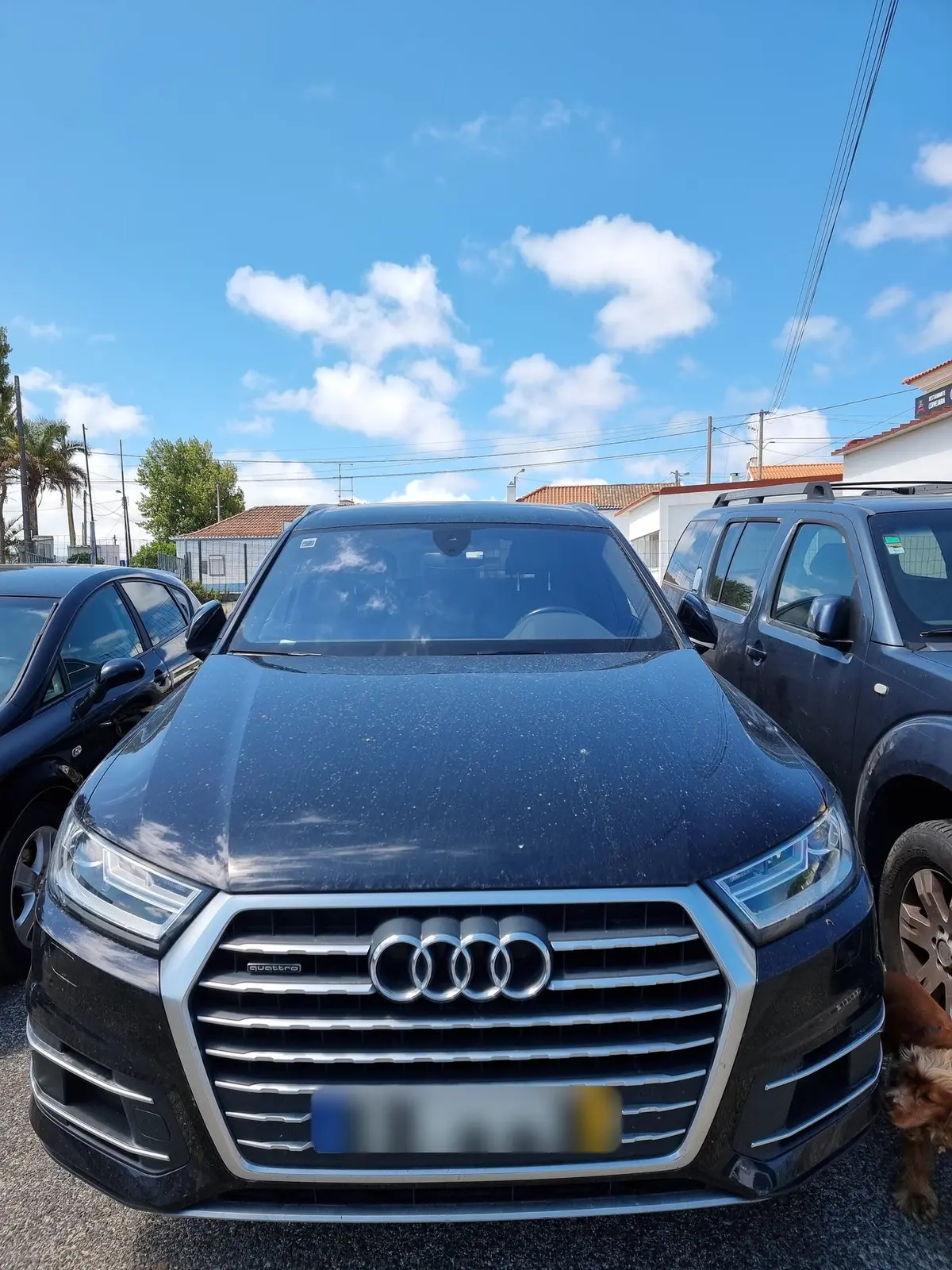 Audi Q7 no parque